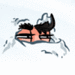 pan-dim-onium avatar