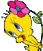lillie avatar